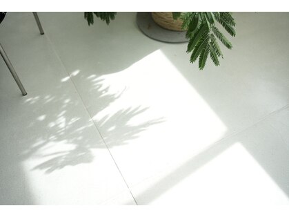 ログ(log)の写真