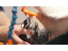 【大人女子の贅沢時間】カット＋高純度シャンプー＋アクアココスパ￥13000→