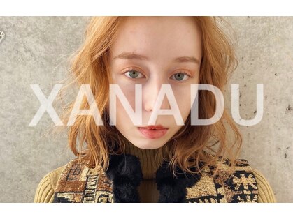 ザナドゥー 池袋(Xanadu)の写真