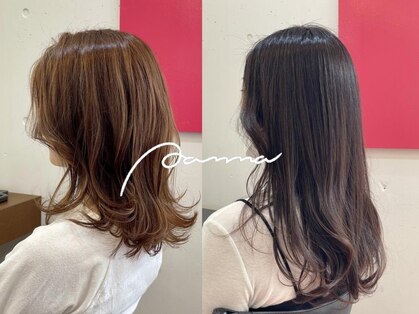 パンマ(Pamma)の写真