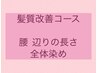 髪質改善カラーコース ●腰 辺りの長さ全体染め
