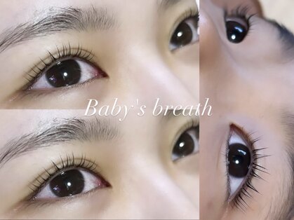 ベイビーズブレス(Baby's breath)の写真