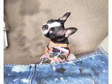 モッチ(mocci)の雰囲気（mocci 。）