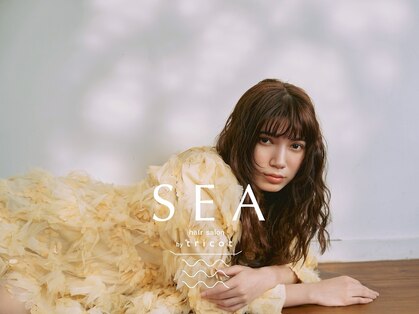 シーバイトリコ 市川(SEA by tricot)の写真
