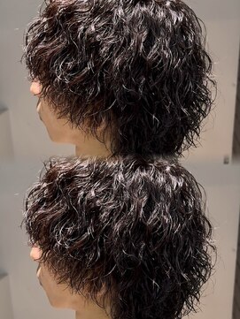 ステラ(STELLA) ツイストスパイラルウルフ