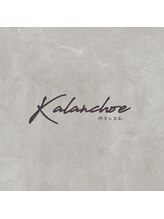 kalanchoe【カランコエ】