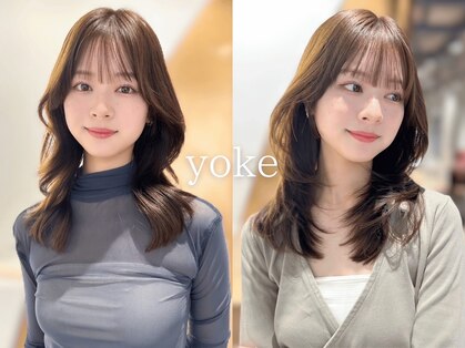 ヨーク(yoke)の写真