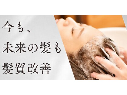 トリート(TREAT)の写真