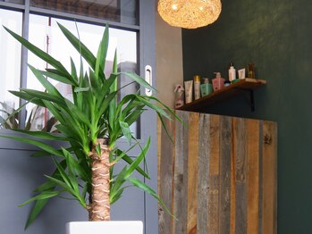 hair labo SPUR【ヘア　ラボ　シュプール】