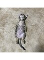 クレム 博多駅店(ChLem) 休日はお家で猫ちゃんとのんびり過ごしてます♪♪