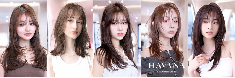 ドットハリス(.Hallis)のサロンヘッダー