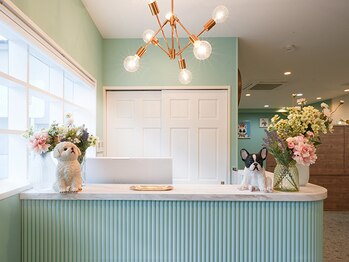 Anphi淵野辺【アンフィ　フチノベ】