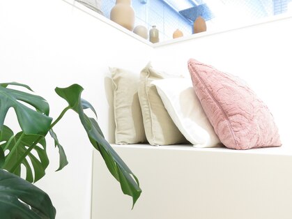 ラクス(Laks)の写真