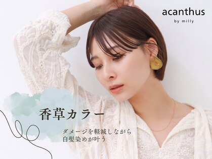アカンサス バイ ミリー 高槻店(acanthus by milly)の写真