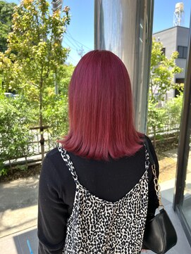 サロウィン 水戸(SALOWIN) 【EMA】チェリーレッド【タグチ6】