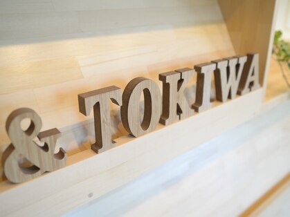 トキワ(Tokiwa)の写真