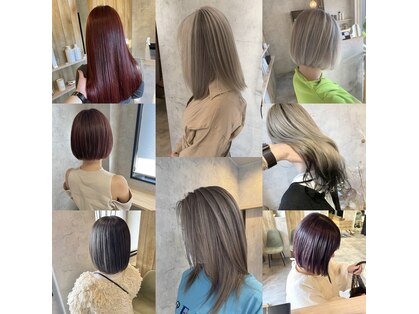 フィル(fil.)の写真