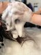 フェザー(feather)の写真/【高評価のヘッドスパ!】ウルトラファインバブルで贅沢な癒し体験♪洗浄効果◎髪も心もリフレッシュ♪