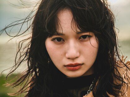 シカ(sica)の写真