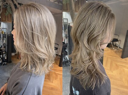 レイブンズ(Ravens)の写真