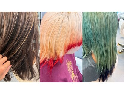 ロサ ロセットの写真