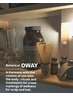 OWAY オーガニック　Botanicalヘッドスパ　￥6500