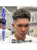 極道パーマ/白金メッシュ