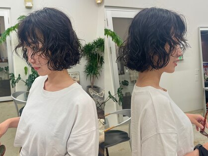 ボウ(BOW)の写真