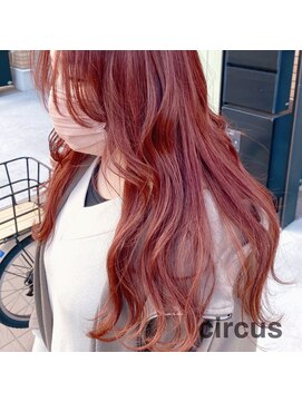 サーカス(circus) バーガンディーカラー