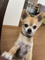アールヘアー(ar hair) 動物大好き!犬大好き!わんこ飼っています