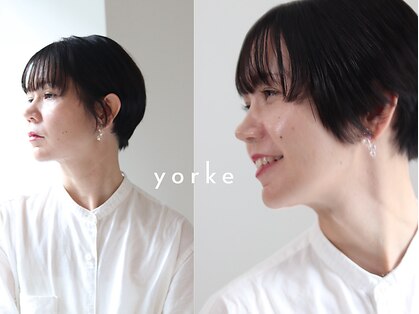 ヨーク(yorke)の写真