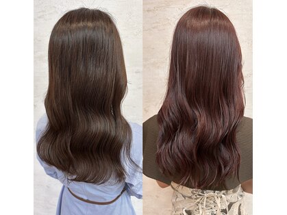 アンジェリカの写真