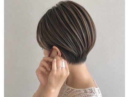 カイ(kai)の写真