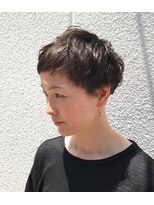 アルジャーノン(algernon)&nbsp;ミニマムベリーショート