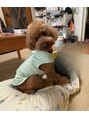 リュドール 長久手図書館通り店(Rue D'or) この子も我が家の大事な家族です