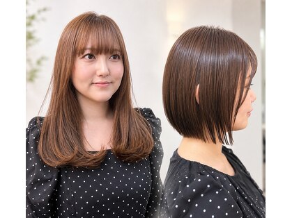 アジュガヘア(ajuga hair)の写真