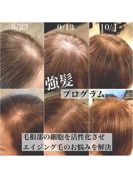 アフェプラス 樟葉店(affe+) 強髪プログラム