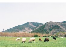 Q.子連れで行っても大丈夫ですか？妊婦でも大丈夫ですか？友達と同時来店は大丈夫ですか？【GOAT_茅ヶ崎】