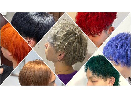 カズコレクション(Kazu collection)の写真