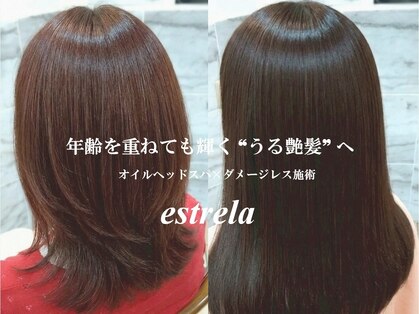エストレーラ(estrela)の写真