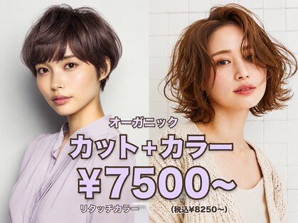 ロアール 楠(LOAOL KUSUNOKI)の写真
