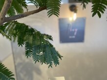 『たくさんのグリーンかこまれて、広々とした清潔な店内』