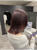 レッドブラウン×ミディアムウルフ