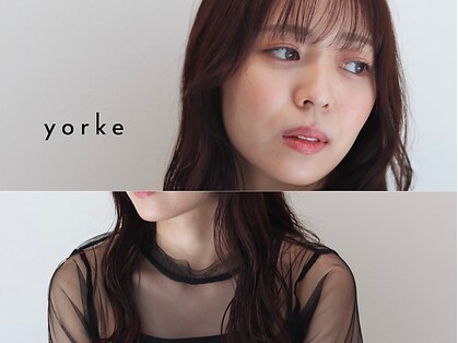 ヨーク(yorke)の写真