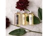 高品質フランス式SPA★ oggiotto アロマ&スキャルプSPA+カットカラー 11500