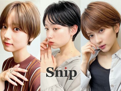 スニップ(Snip)の写真
