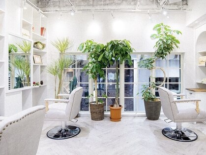 アンヘアー(UNHAIR by shiomiH)の写真