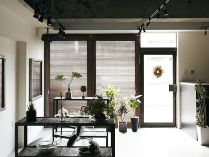 カル(caru)の写真