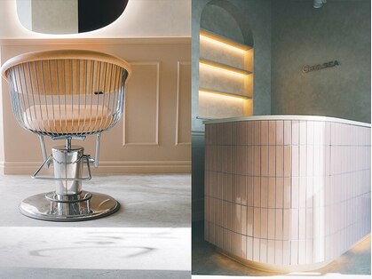 ザシー チェルシー 橋本(The C CHELSEA)の写真