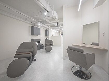 ヨーク(yorke)の写真